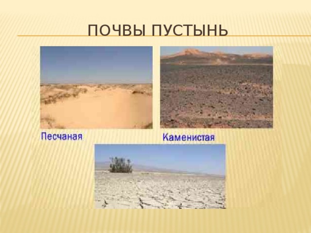 Почвы пустынь