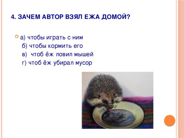 4. Зачем автор взял ежа домой?