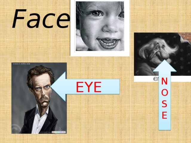 Face NOSE EYE