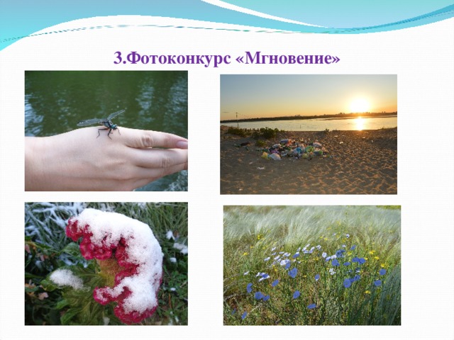 3.Фотоконкурс «Мгновение»