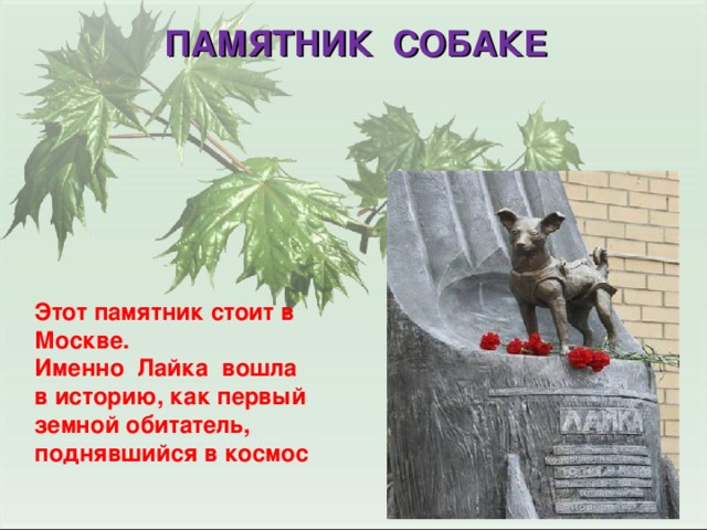 ПАМЯТНИК СОБАКЕ Этот памятник стоит в Москве. Именно Лайка вошла в историю, как первый земной обитатель, поднявшийся в космос