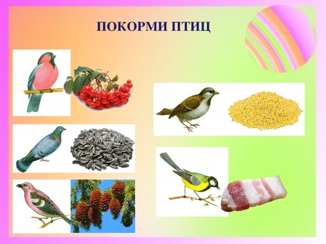 ПОКОРМИ ПТИЦ