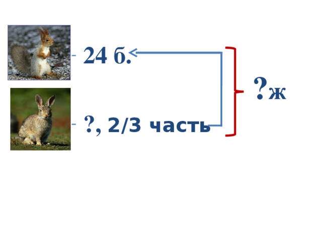 24 б.  ?, 2 /3 часть