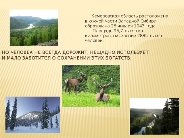 Кемеровская область расположена в южной части Западной Сибири, образована 26 января 1943 года.  Площадь 95,7 тысяч кв. километров, население 2885 тысяч человек. Но человек не всегда дорожит, нещадно использует и мало заботится о сохранении этих богатств.