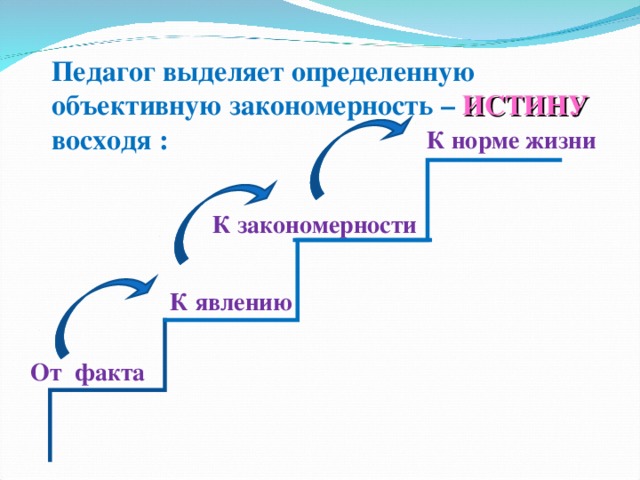 Явление и закономерности жизни