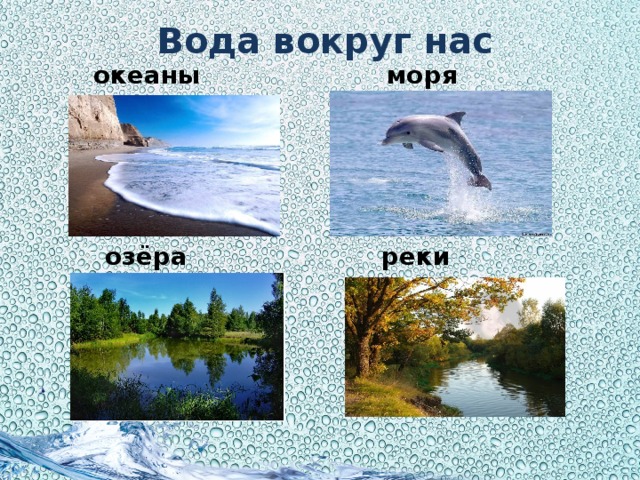 Вода вокруг нас океаны моря озёра реки