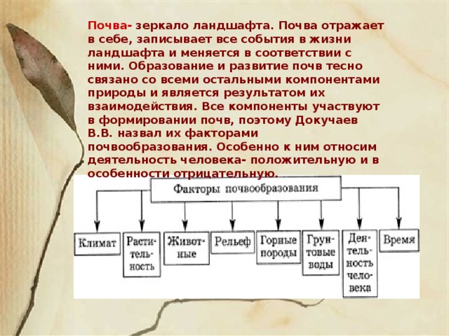 Меняется в соответствии. Почва зеркало ландшафта. Взаимосвязь почвы и ландшафта презентация. Взаимосвязь видов почвы и ландшафта. Почему Докучаев назвал почву зеркалом ландшафта.