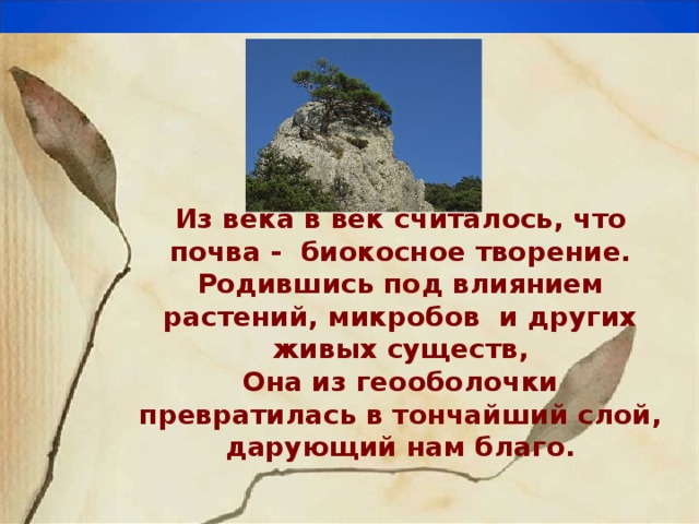 Из века в век считалось, что почва - биокосное творение. Родившись под влиянием растений, микробов и других живых существ, Она из геооболочки превратилась в тончайший слой, дарующий нам благо.