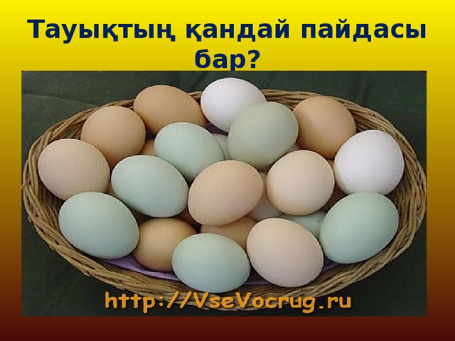 Тауықтың қандай пайдасы бар?