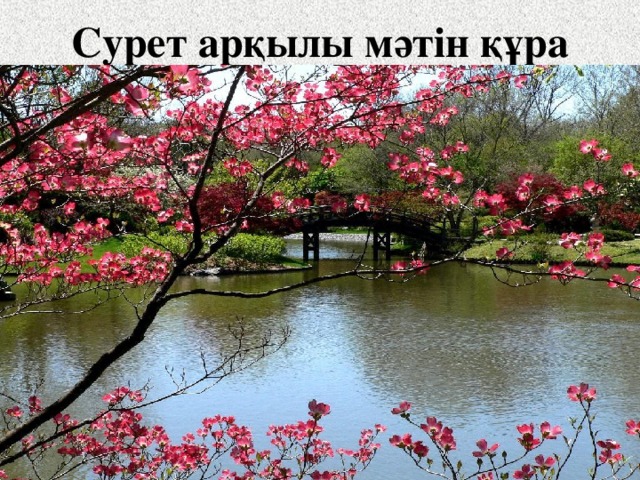 Сурет арқылы мәтін құра