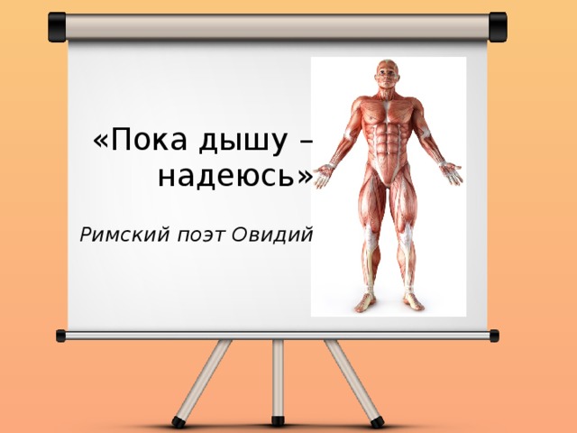 «Пока дышу – надеюсь»   Римский поэт Овидий