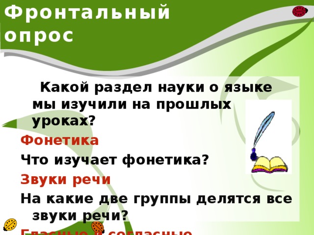 Фронтальный опрос  Какой раздел науки о языке мы изучили на прошлых уроках? Фонетика Что изучает фонетика? Звуки речи На какие две группы делятся все звуки речи? Гласные и согласные