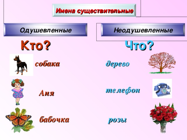 Имена существительные Одушевленные Неодушевленные Кто?  Что? собака дерево телефон  Аня бабочка розы