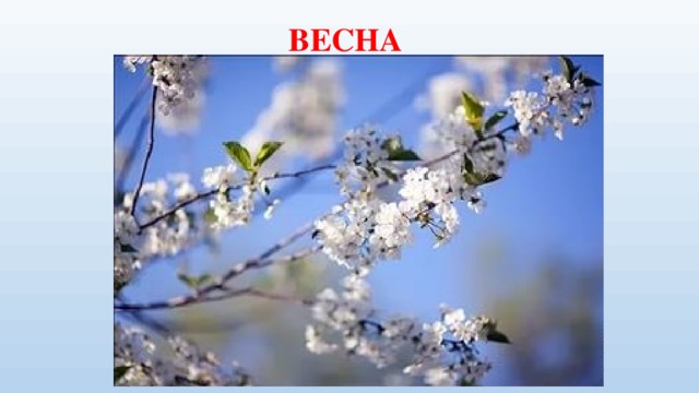 ВЕСНА