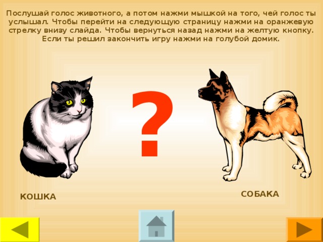 Послушай голос животного, а потом нажми мышкой на того, чей голос ты услышал. Чтобы перейти на следующую страницу нажми на оранжевую стрелку внизу слайда. Чтобы вернуться назад нажми на желтую кнопку. Если ты решил закончить игру нажми на голубой домик. ? СОБАКА КОШКА