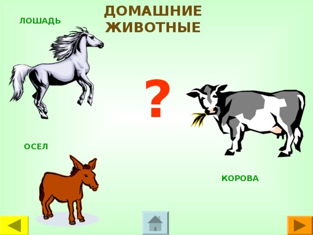 ДОМАШНИЕ ЖИВОТНЫЕ ЛОШАДЬ ? ОСЕЛ КОРОВА