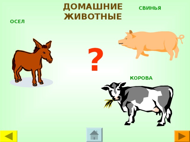 ДОМАШНИЕ ЖИВОТНЫЕ СВИНЬЯ ОСЕЛ ? КОРОВА