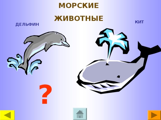 МОРСКИЕ ЖИВОТНЫЕ КИТ ДЕЛЬФИН ?