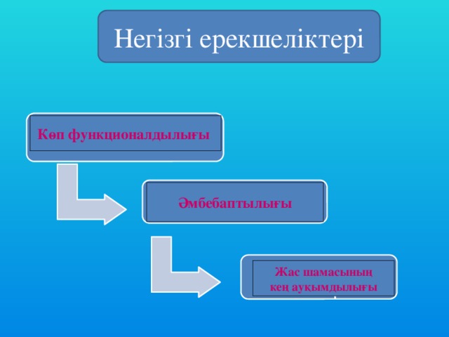 Негізгі ерекшеліктері қызығушылық Көп функционалдылығы  таным – Әмбебаптылығы шығармашылық Жас шамасының кең ауқымдылығы