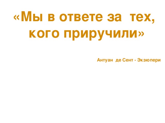 Уход за кошкой и собакой. Необходимо заботиться о здоровье своих домашних питомцев.