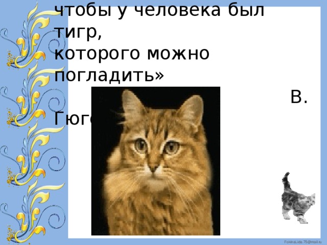 «Бог создал Кошку,  чтобы у человека был тигр,  которого можно погладить»  В. Гюго