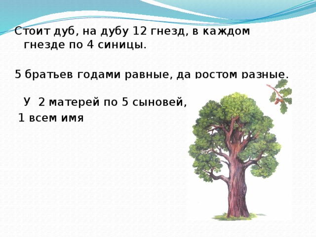 Отвечать стоящий. Стоит дуб на дубу двенадцать гнезд. На дубу двенадцать гнезд. Стоит дуб в нем двенадцать гнезд. Загадка стоит дуб в нем 12 гнезд.