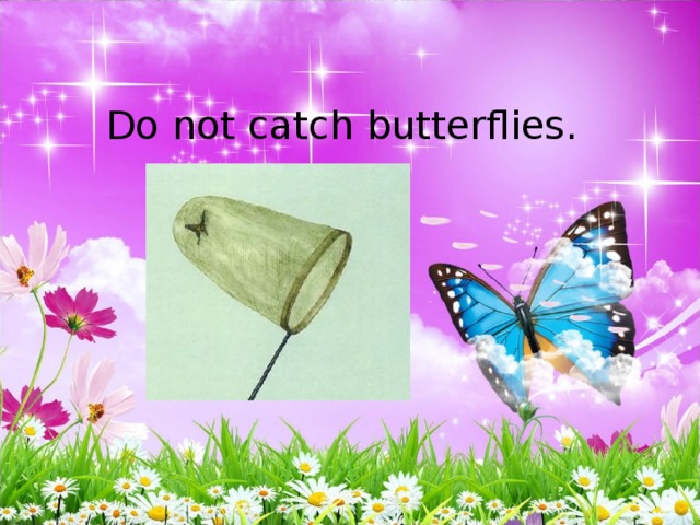 Do not catch butterflies.