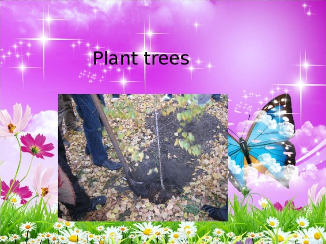 Plant trees