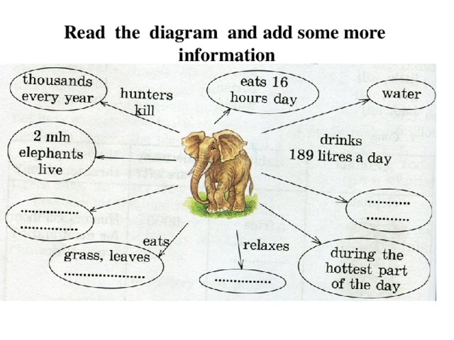 Read the diagram and add some more information