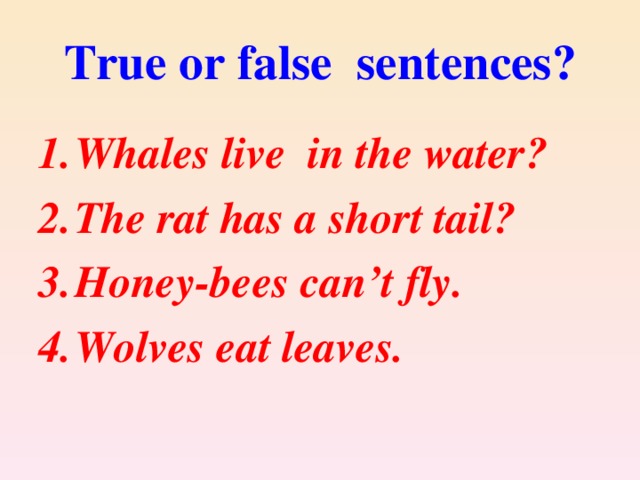 True or false sentences?