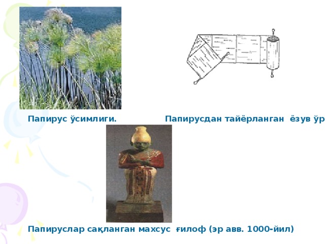 П апирус ўсимлиги. Папирусдан тайёрланган ёзув ўрами  Папируслар сақланган махсус ғилоф (эр авв. 1000-йил)