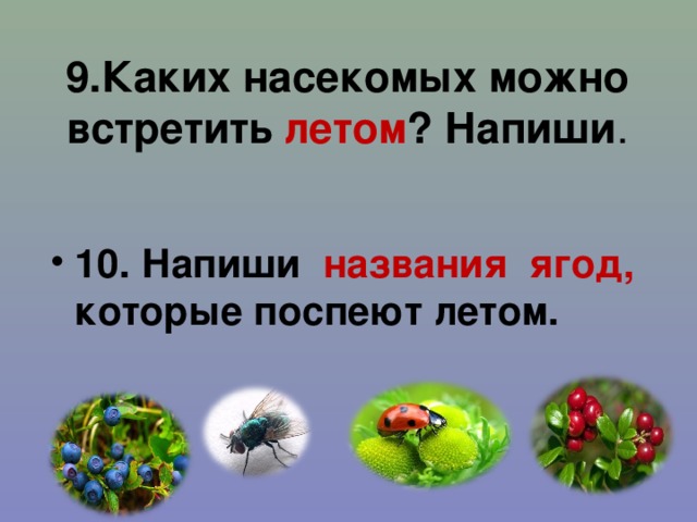 9.Каких насекомых можно встретить летом ? Напиши .