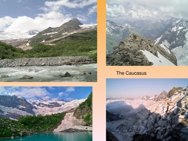 The Caucasus