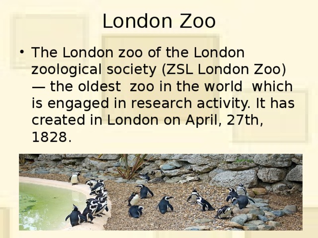 London Zoo