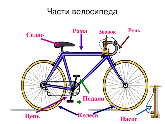 Части  велосипеда Рама Руль Звонок Седло Педали Колеса Цепь Насос