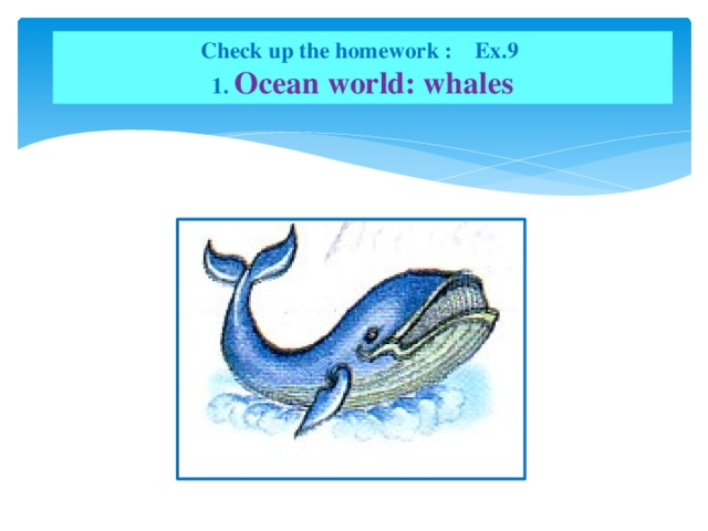 Check up the homework : Ex.9  1. Ocean world: whales