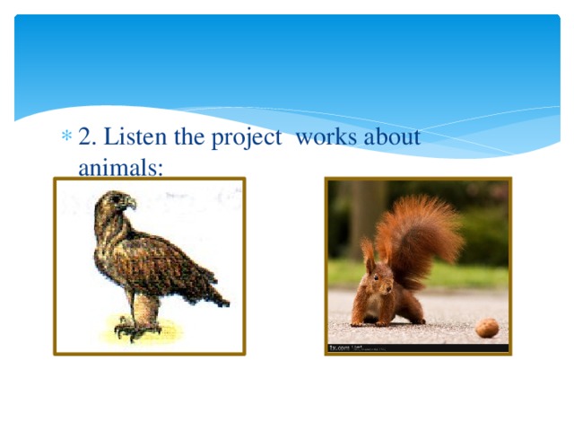 2. Listen the project works about animals: