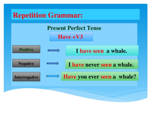 Repetition Grammar: Present Perfect Tense Have +V3 Positive I have seen a whale. Negative I have  never  seen a  whale. Have  you ever seen a whale? Interrogative