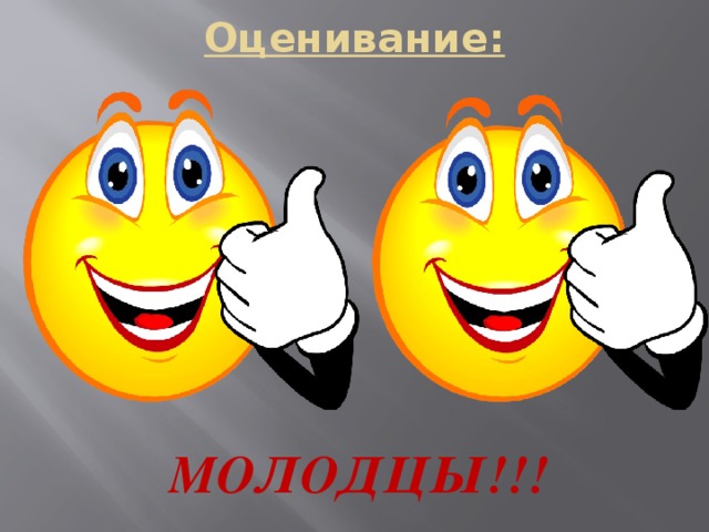 Оценивание:             МОЛОДЦЫ!!!