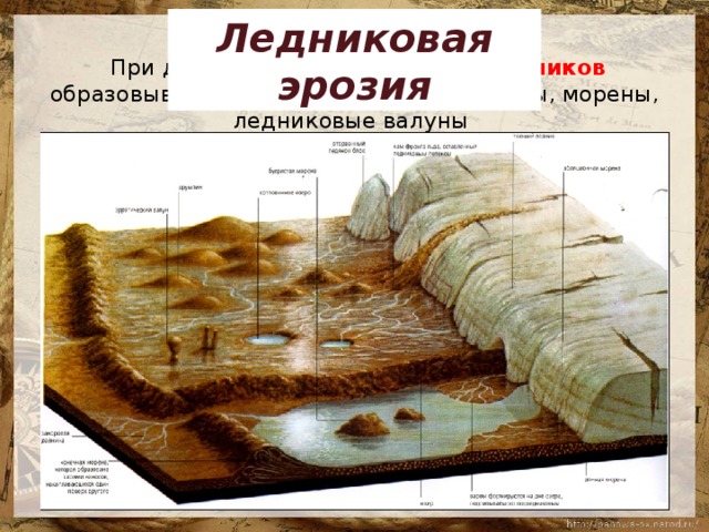 Ледниковая эрозия  При движении, а затем таянии ледников образовывались приледниковые равнины, морены, ледниковые валуны