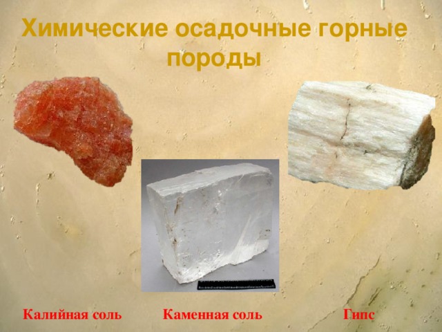 Химические осадочные горные породы  Калийная соль Каменная соль Гипс