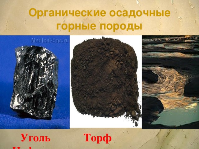 Органические осадочные горные породы  Уголь Торф Нефть