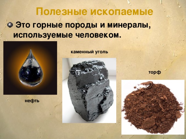 Полезные ископаемые  Это горные породы и минералы, используемые человеком. каменный уголь торф нефть