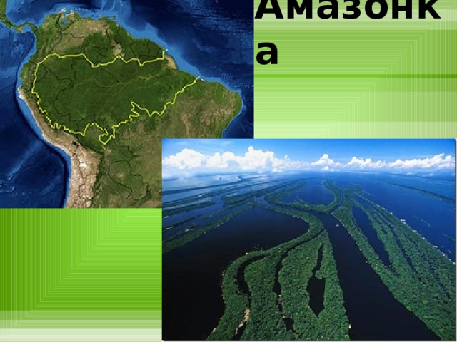 Амазонка