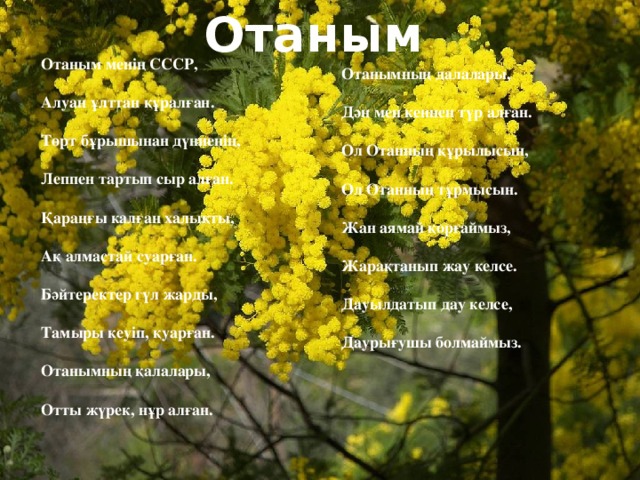 Отаным Отаным менің СССР,   Алуан ұлттан құралған.   Төрт бұрышынан дүниенің,   Леппен тартып сыр алған.   Қараңғы калған халықты,   Ақ алмастай суарған.   Бәйтеректер гүл жарды,   Тамыры кеуіп, қуарған.   Отанымның қалалары,   Отты жүрек, нұр алған. Отанымның далалары,   Дән мен кеннен түр алған.   Ол Отанның құрылысын,   Ол Отанның тұрмысын.   Жан аямай қорғаймыз,   Жарақтанып жау келсе.   Дауылдатып дау келсе,   Даурығушы болмаймыз.