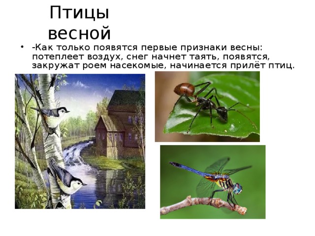 Птицы весной