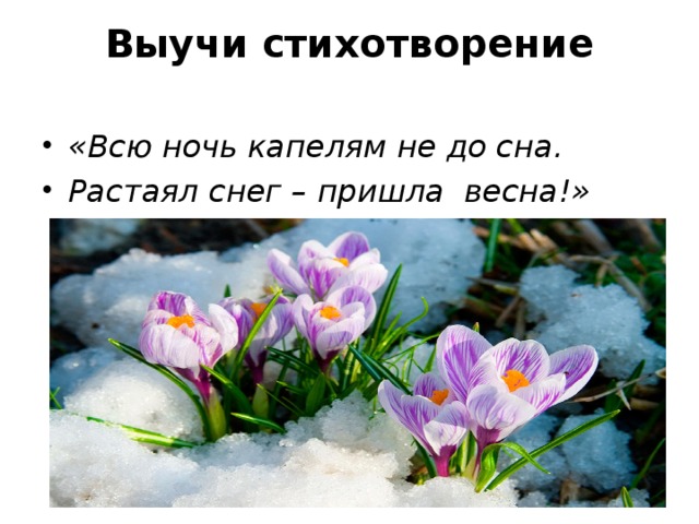 Выучи стихотворение