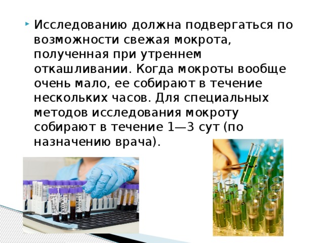 Исследованию должна подвергаться по возможности свежая мокрота, полученная при утреннем откашливании. Когда мокроты вообще очень мало, ее собирают в течение нескольких часов. Для специальных методов исследования мокроту собирают в течение 1—3 сут (по назначению врача).