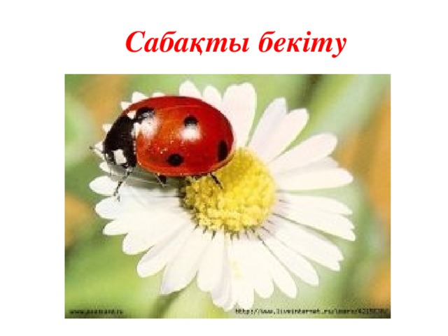 Сабақты бекіту
