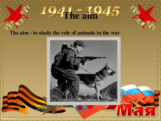 The aim The aim - to study the role of animals in the war